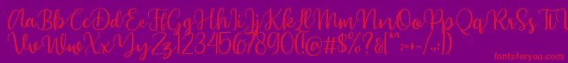 Beyonce demo Font – Red Fonts on Purple Background