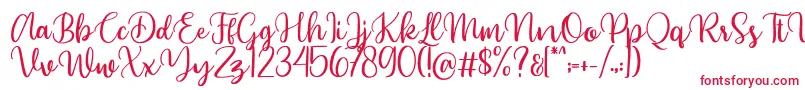 Beyonce demo-Schriftart – Rote Schriften auf weißem Hintergrund
