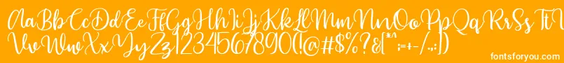 Beyonce demo-Schriftart – Weiße Schriften auf orangefarbenem Hintergrund