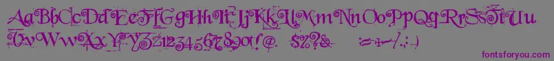 Police Beyond Wonderland – polices violettes sur fond gris