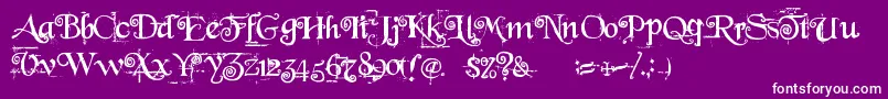 Beyond Wonderland Font – White Fonts on Purple Background