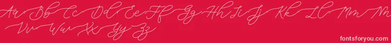Bianca-Schriftart – Rosa Schriften auf rotem Hintergrund