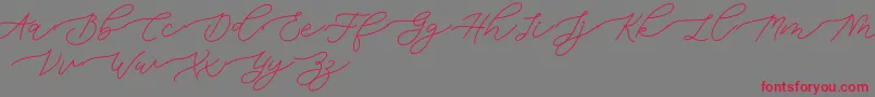Bianca-Schriftart – Rote Schriften auf grauem Hintergrund