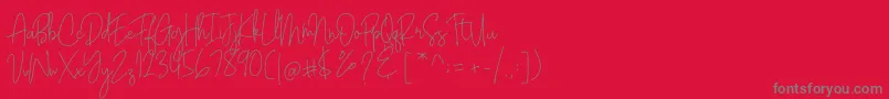 Шрифт Bianka Script – серые шрифты на красном фоне