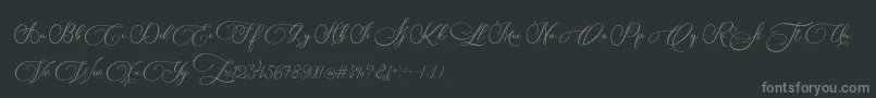 フォントBiargabara – 黒い背景に灰色の文字