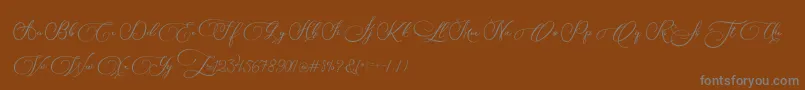Шрифт Biargabara – серые шрифты на коричневом фоне