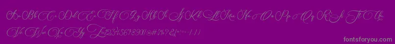 Biargabara-Schriftart – Graue Schriften auf violettem Hintergrund