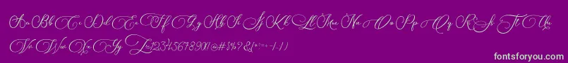 Biargabara Font – Green Fonts on Purple Background