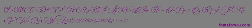 Biargabara-Schriftart – Violette Schriften auf grauem Hintergrund
