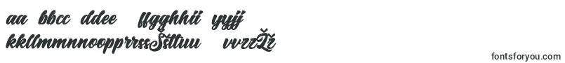 Big Blue Bold Font – Lithuanian Fonts
