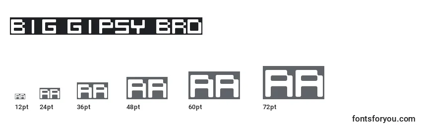 BIG GIPSY BRO Font Sizes