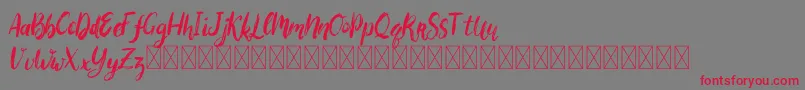 Bigarus Font – Red Fonts on Gray Background