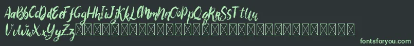 Bigarus Font – Green Fonts on Black Background