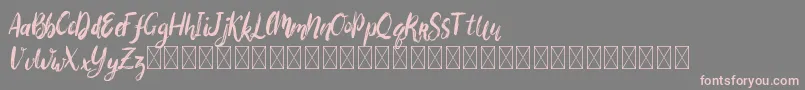 フォントBigarus – 灰色の背景にピンクのフォント