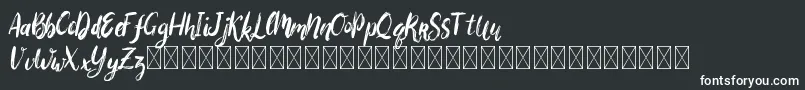 Bigarus Font – White Fonts on Black Background