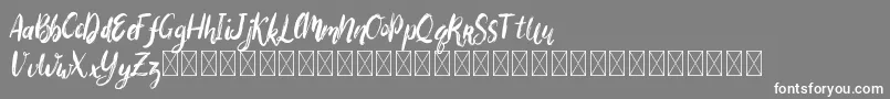 フォントBigarus – 灰色の背景に白い文字