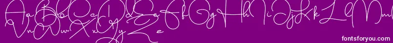 Bigballon Font – White Fonts on Purple Background