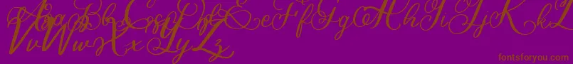 Bigbang Font – Brown Fonts on Purple Background