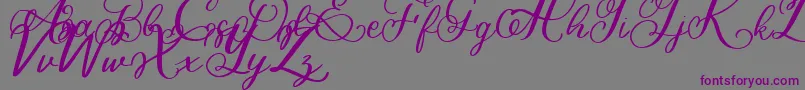 Bigbang Font – Purple Fonts on Gray Background