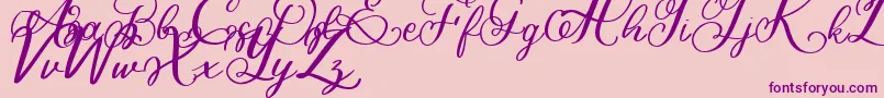 Bigbang Font – Purple Fonts on Pink Background