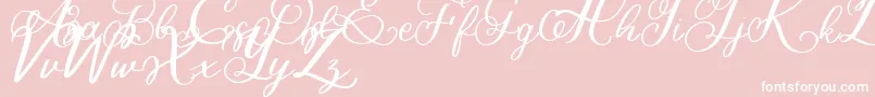 Bigbang Font – White Fonts on Pink Background