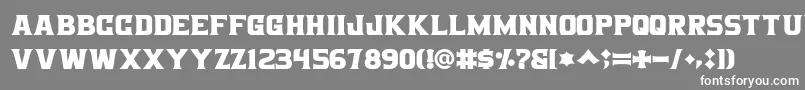 フォントBigboz – 灰色の背景に白い文字