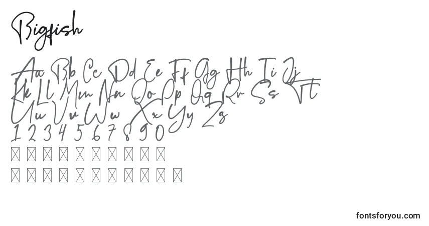 Czcionka Bigfish (121254) – alfabet, cyfry, specjalne znaki