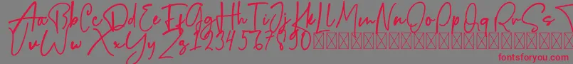 Bigfish Font – Red Fonts on Gray Background