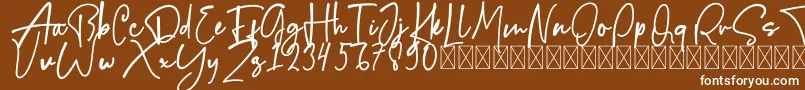 Bigfish Font – White Fonts on Brown Background