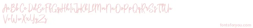 fuente Bikarosta Script – Fuentes Rosas