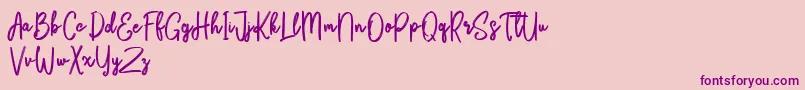 Bikarosta Script-Schriftart – Violette Schriften auf rosa Hintergrund