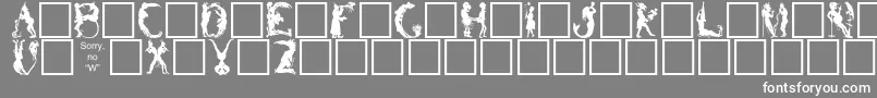 フォントBikids – 灰色の背景に白い文字