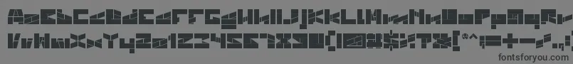 BILL GATES WINDOWS BOLD Font – Black Fonts on Gray Background