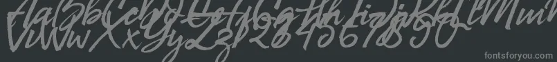 Bill Smith Demo Font – Gray Fonts on Black Background