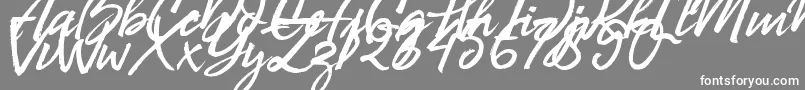 Bill Smith Demo Font – White Fonts on Gray Background