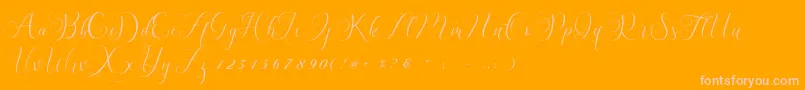 Billaneiva Font – Pink Fonts on Orange Background