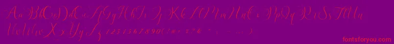 Billaneiva Font – Red Fonts on Purple Background