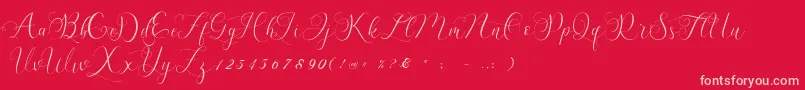 Billaneiva Font – Pink Fonts on Red Background