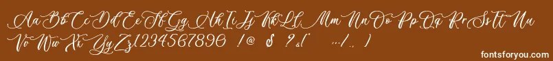 Billion Calligraphy   Personal Use Font – White Fonts on Brown Background