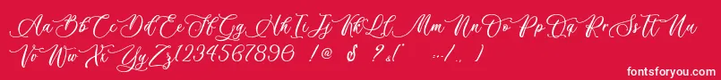 Billion Calligraphy   Personal Use Font – White Fonts on Red Background