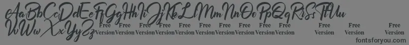 Billionthine Personal Use Only Font – Black Fonts on Gray Background