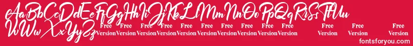 Billionthine Personal Use Only Font – White Fonts on Red Background