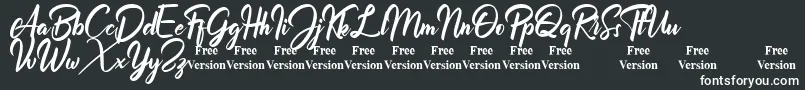 Billionthine Personal Use Only Font – White Fonts on Black Background