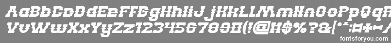 BILLY THE KID Bold Italic Font – White Fonts on Gray Background