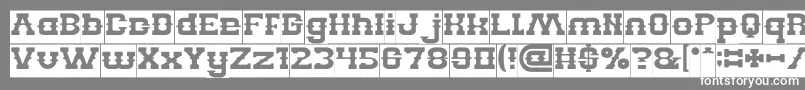 BILLY THE KID Inverse Font – White Fonts on Gray Background