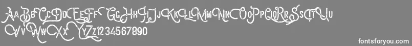 Billyforges Demo Font – White Fonts on Gray Background