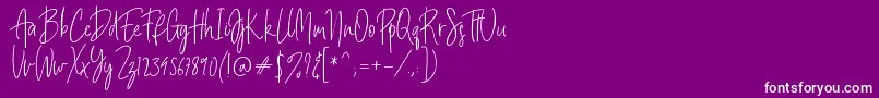 Billystuck Font – White Fonts on Purple Background