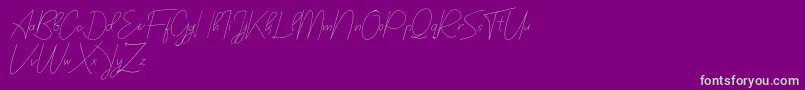 bilyardeis new Font – Green Fonts on Purple Background