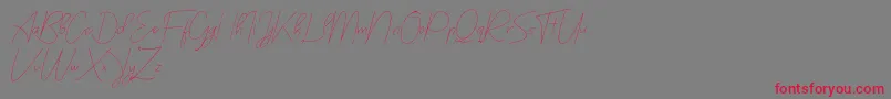 bilyardeis new Font – Red Fonts on Gray Background