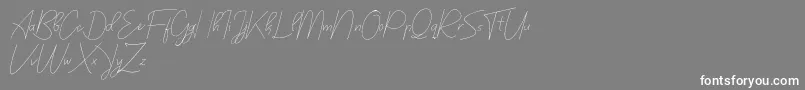 フォントbilyardeis new – 灰色の背景に白い文字